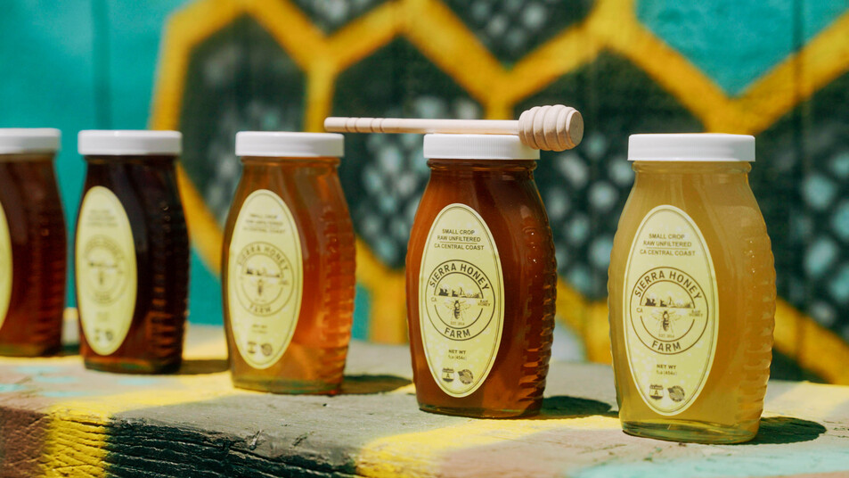 Honey Tasting for National Bee Day!